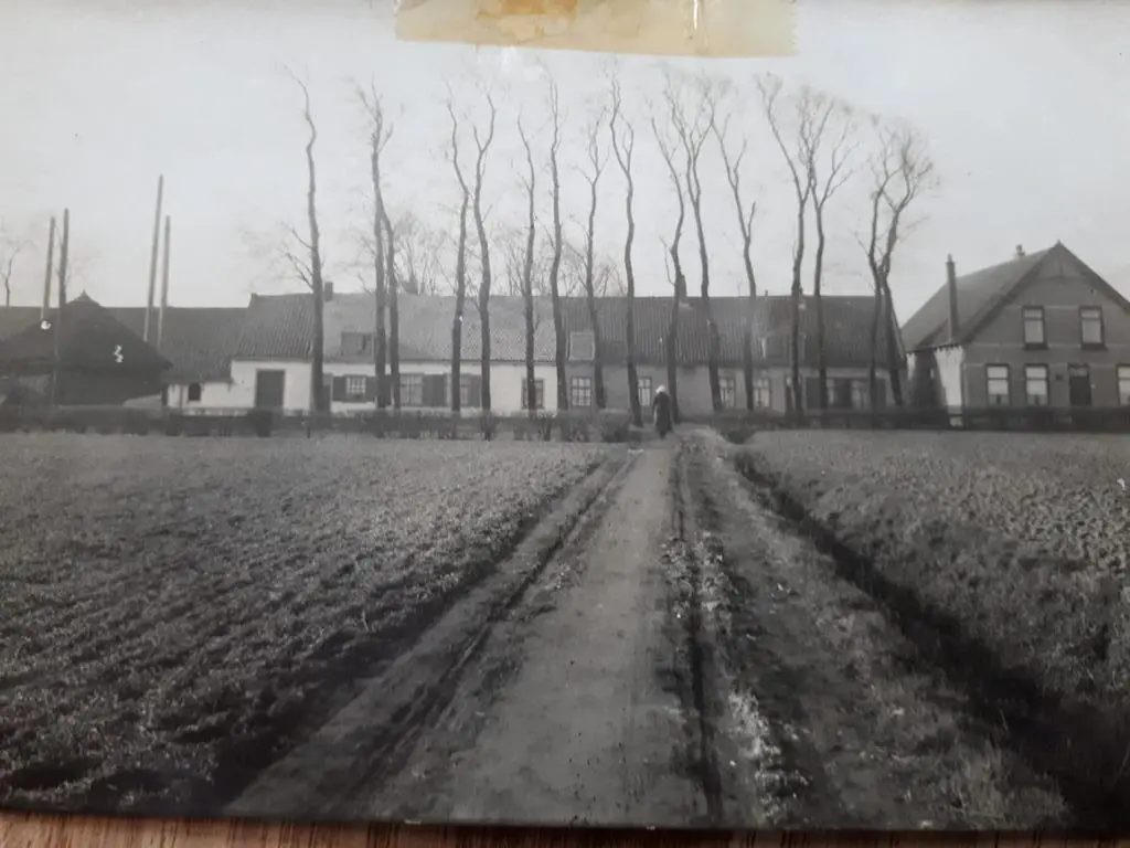Naaldwijkseweg 209A, 'S-GRAVENZANDE