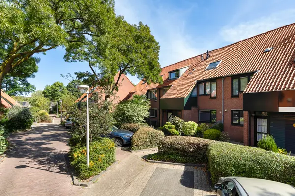 Paardenbloem 12