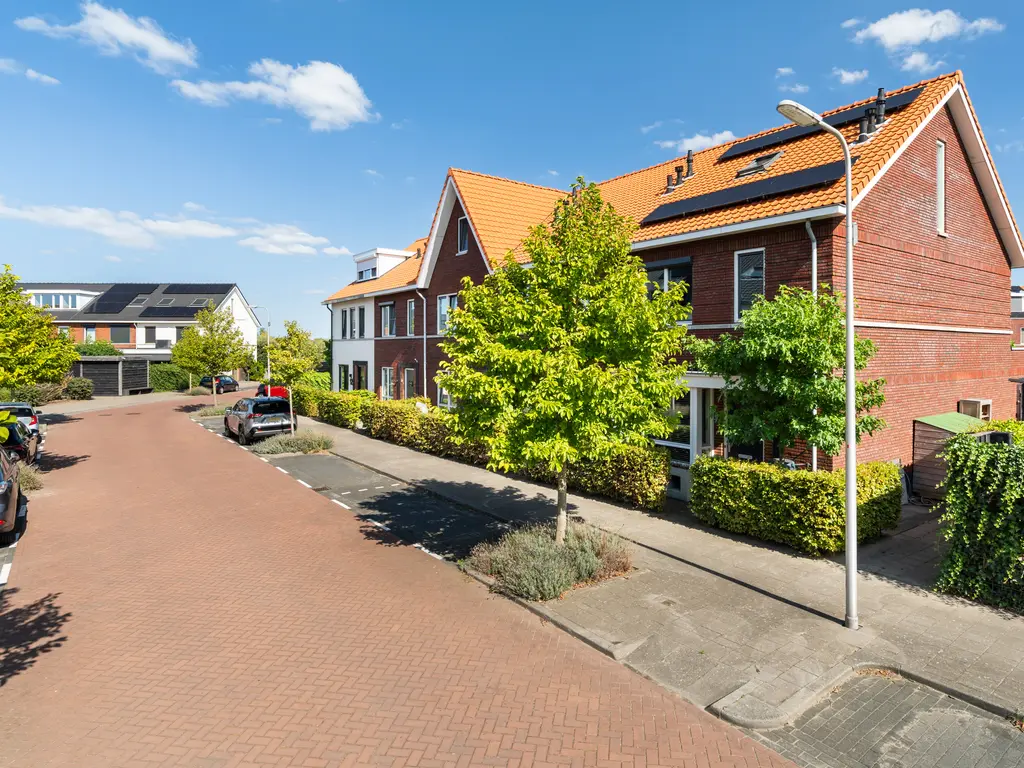 Kleine vos 4, 's-Gravenzande