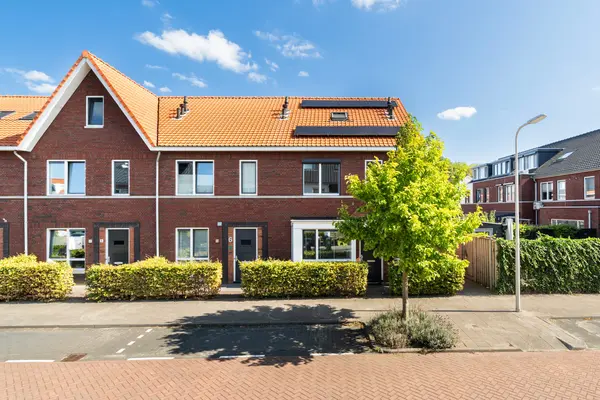 Kleine vos 4