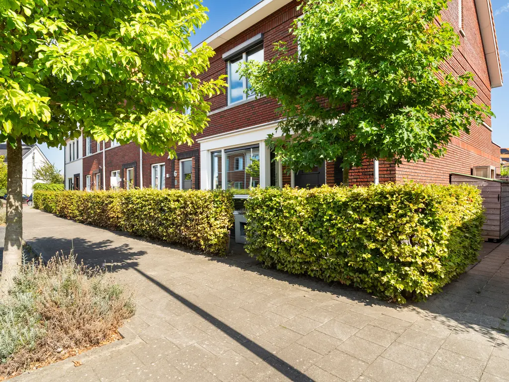 Kleine vos 4, 's-Gravenzande