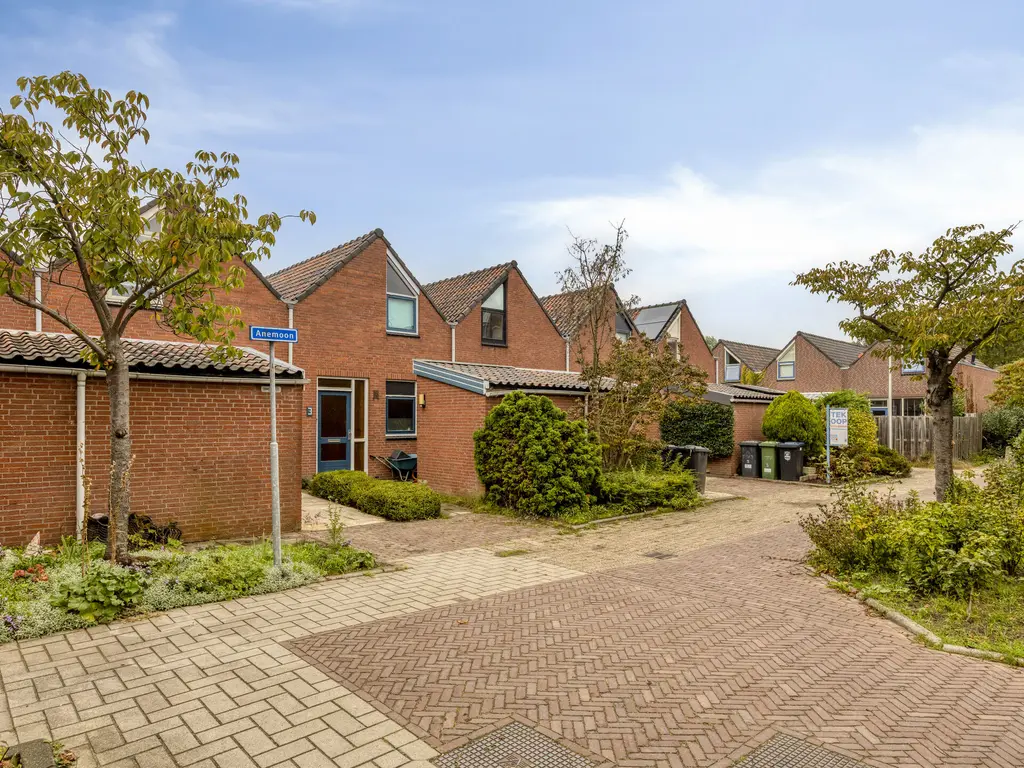 Anemoon 2, NAALDWIJK