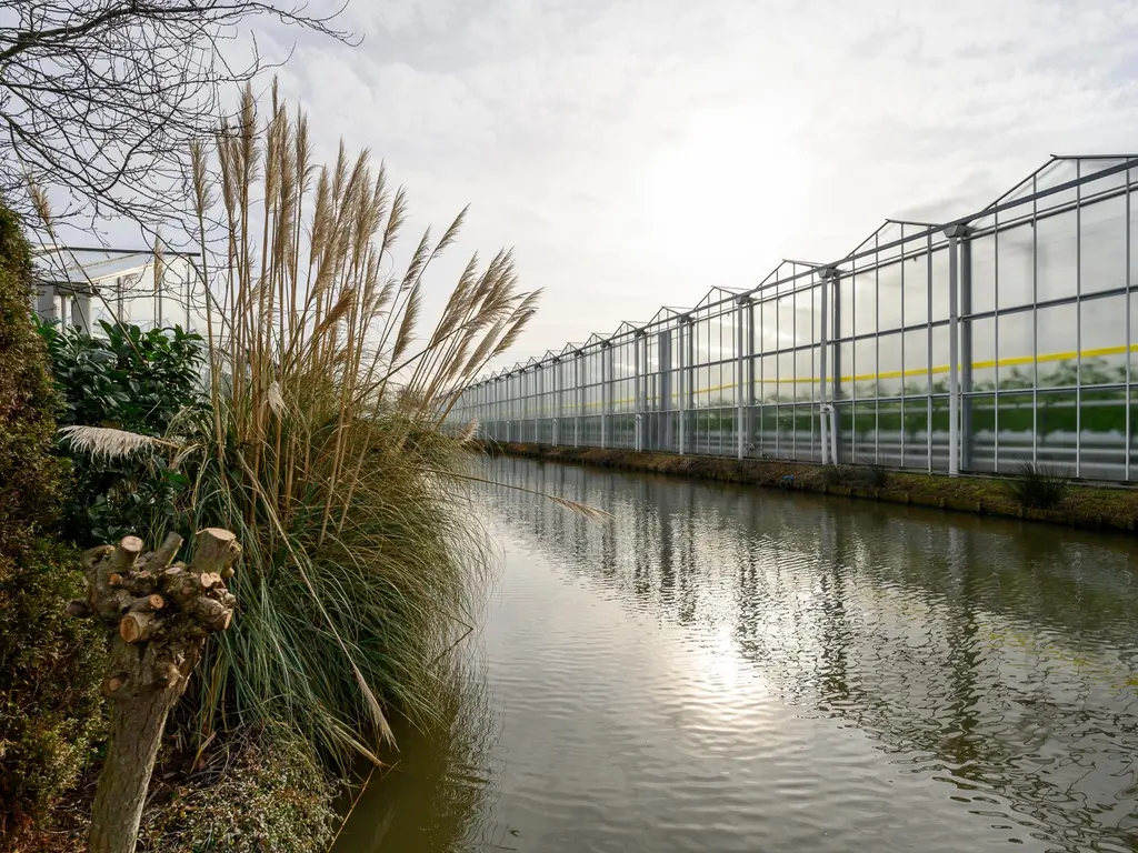 Rijnsburgerweg 1, NAALDWIJK