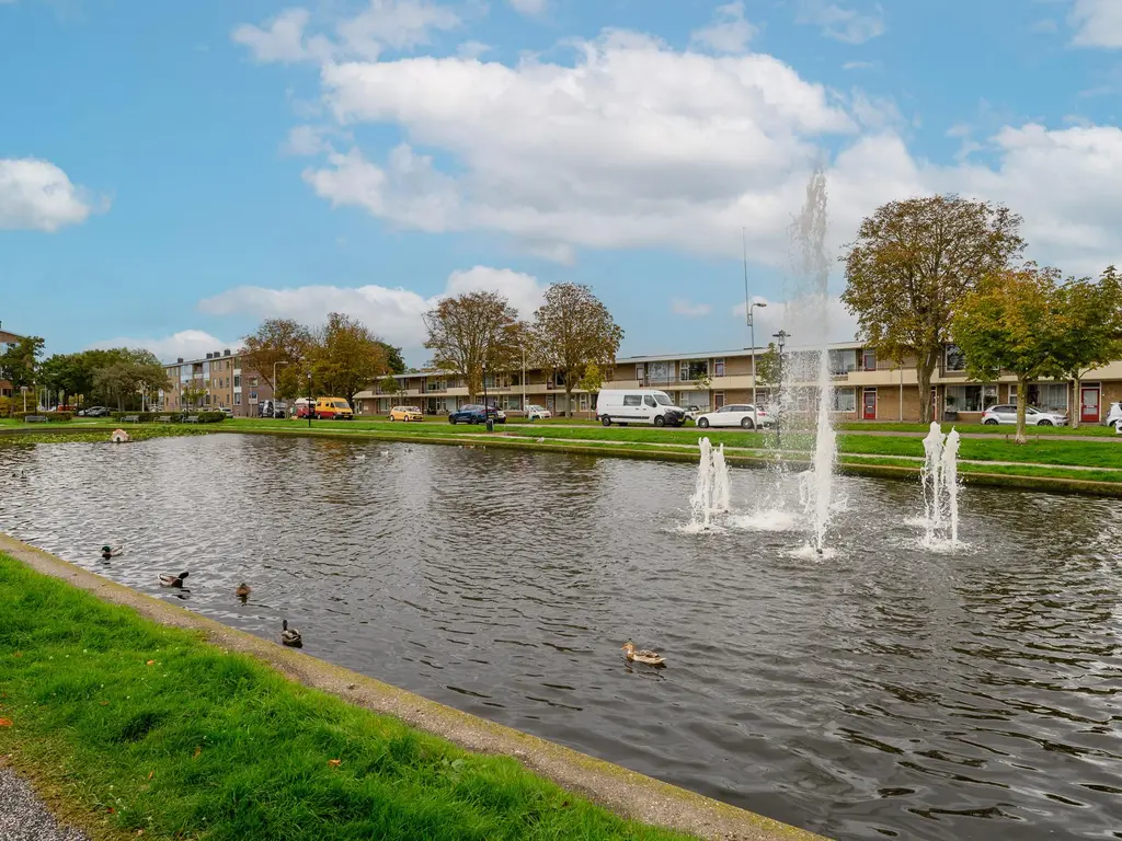 Dingemans van de Kasteeleplein 2E, 'S-GRAVENZANDE