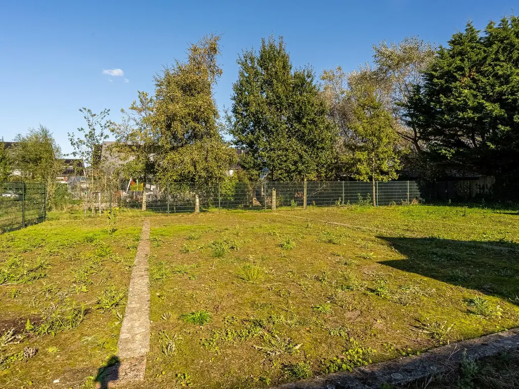 Burgemeester Hoogenboomstraat 3, HONSELERSDIJK