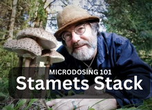 Paul Stamets' microdosing discovery: Stacking with Lion's Mane, niacin and truffles