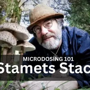 Paul Stamets' microdosing discovery: Stacking with Lion's Mane, niacin and truffles