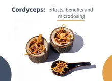 Cordyceps : qu&rsquo;est-ce qui rend ce champignon si sp&eacute;cial ?