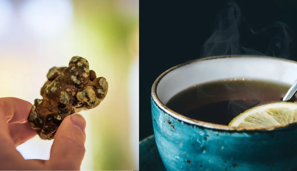 C&oacute;mo preparar t&eacute; de trufas: gu&iacute;a paso a paso