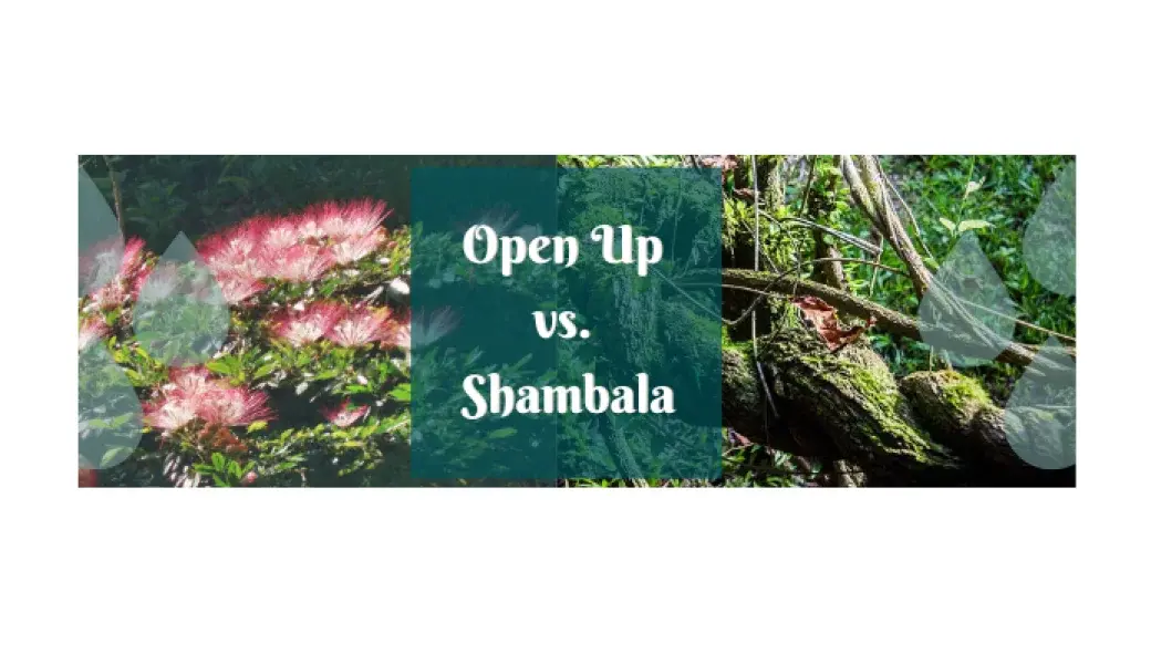 Gotas Shambala vs. Open Up: experiencias y diferencias