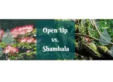 Gotas Shambala vs. Open Up: experiencias y diferencias