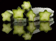 Microdosing San Pedro: an first hand account from an experienced microdoser