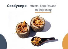 Cordyceps: what makes this mushroom so special?