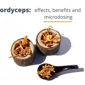 Cordyceps: what makes this mushroom so special?