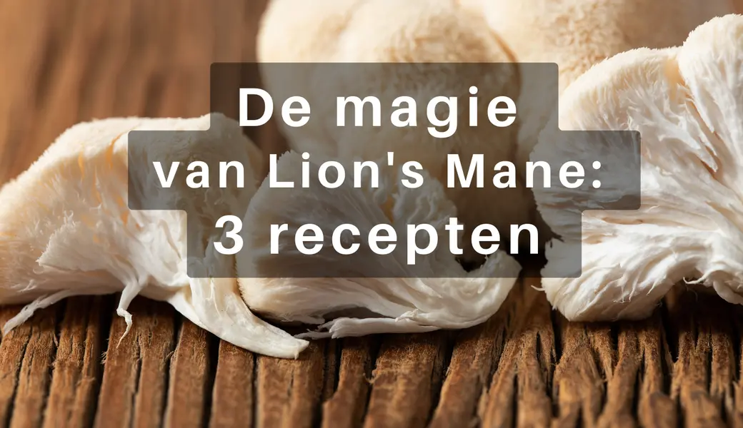 Ontdek de magie van Lion's Mane: 3 heerlijke recepten voor een gezonde geest