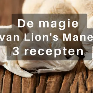 Ontdek de magie van Lion's Mane: 3 heerlijke recepten voor een gezonde geest