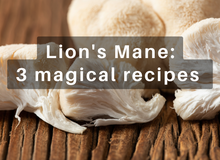 Discover the magic of Lion's Mane: 3 delicious recipes for a healthy mind