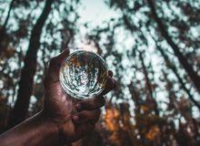 Microdosing ervaringen en Reviews