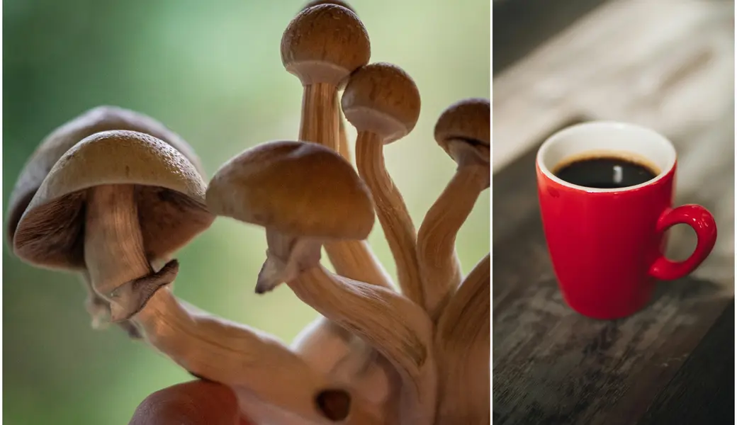 Microdosing en koffie (cafeïne): wel of geen goed idee?