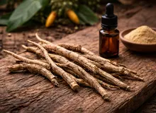 Microdosing met Iboga: Onderzoek, Verslavingscontext en Veiligheidskade