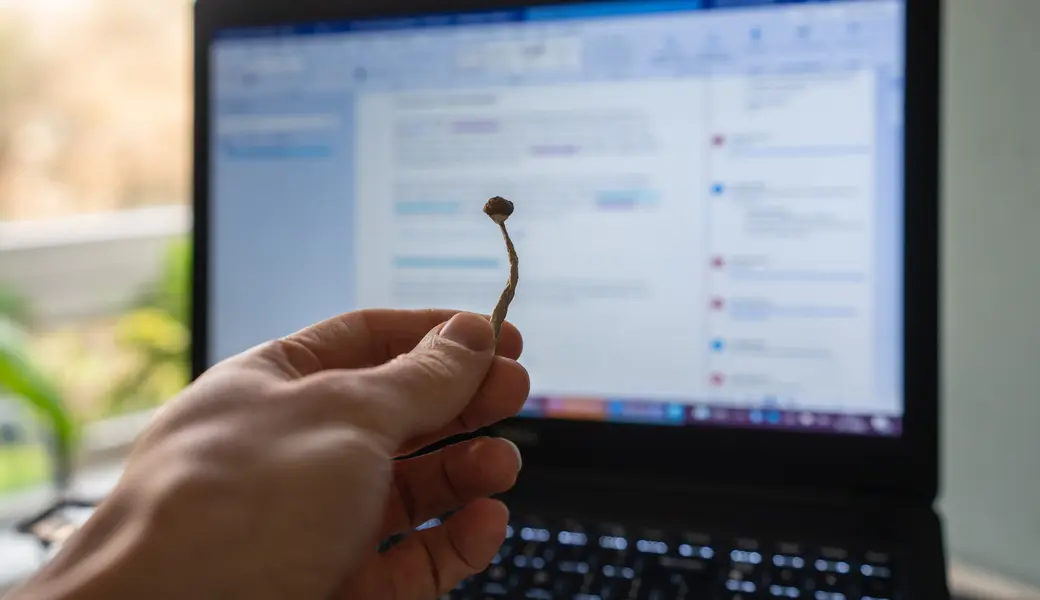 Neue Forschung: Menschen mit ADHS erleben durch Microdosing mehr Achtsamkeit