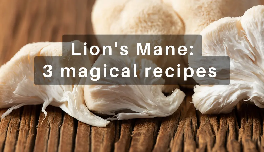 Entdecken Sie die Magie von Lion&rsquo;s Mane: 3 leckere Rezepte f&uuml;r einen gesunden Geist