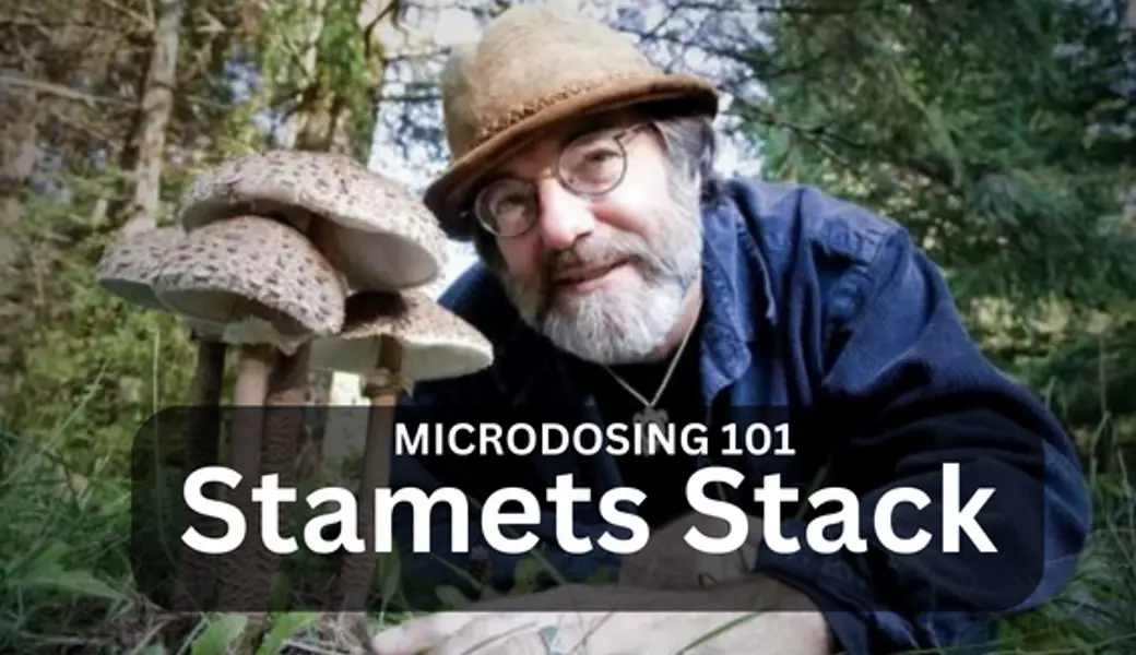 Paul Stamets&rsquo; Microdosing-Entdeckung: Stacking mit Lion&rsquo;s Mane, Niacin und Tr&uuml;ffeln