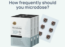 The 6 microdosing protocols - which one is best for you?