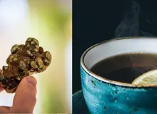 Comment pr&eacute;parer du th&eacute; aux truffes : guide &eacute;tape par &eacute;tape