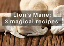 D&eacute;couvrez la magie du Lion&rsquo;s Mane : 3 d&eacute;licieuses recettes pour un esprit sain