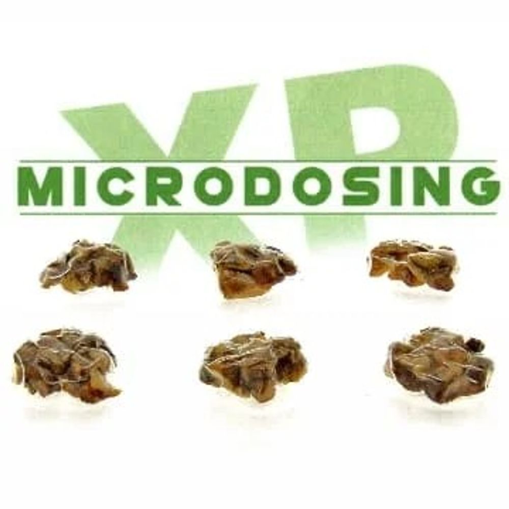 Microdose - 4x Microdosing XP strips (24x1g)