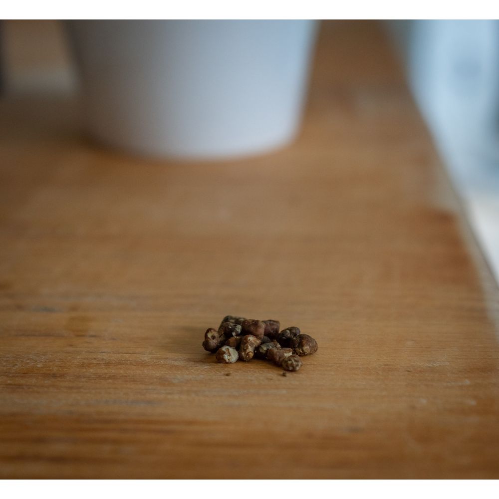 Microdose - 5x Microdosing XP strips (30x1g)