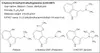 Microdose - Methylcybin Microdose Drops ((4-HO-MET) 