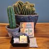 Microdose - San Pedro cactus Growkit 'Trichoceureus Pachanoi'