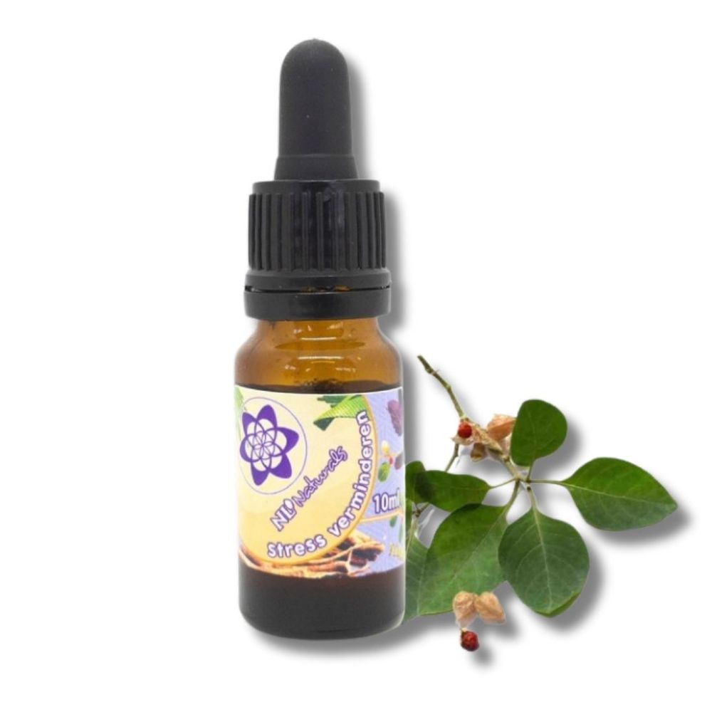 Microdose - Ashwagandha extract 10 ml