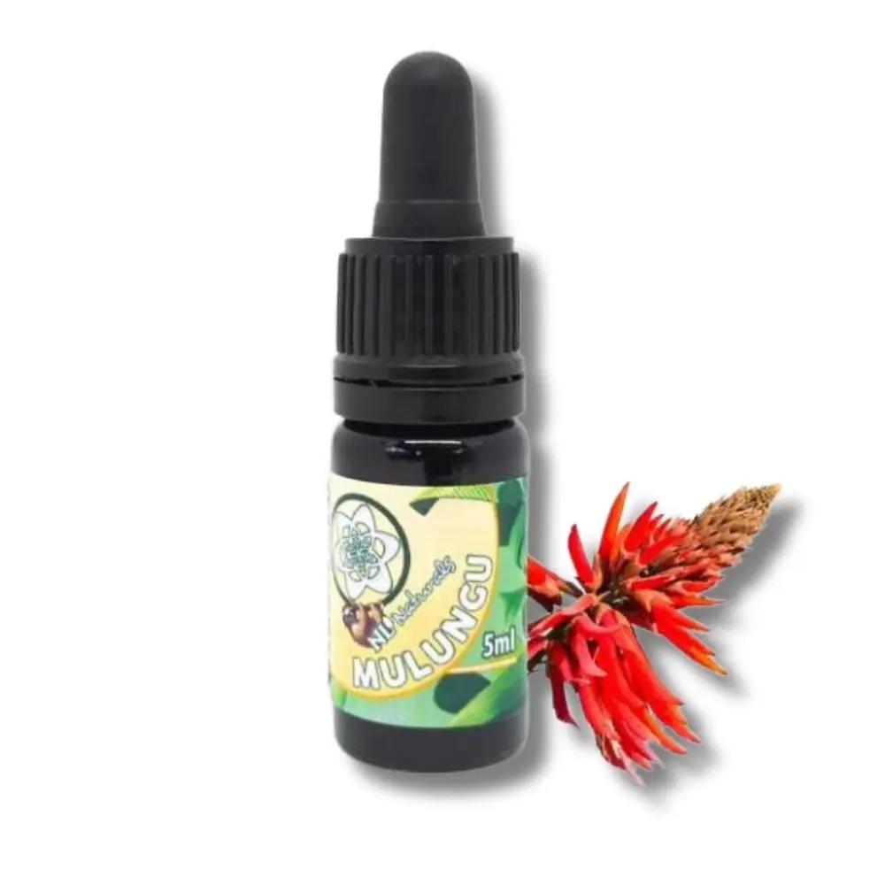Microdose - Mulungu extract (10ml) 