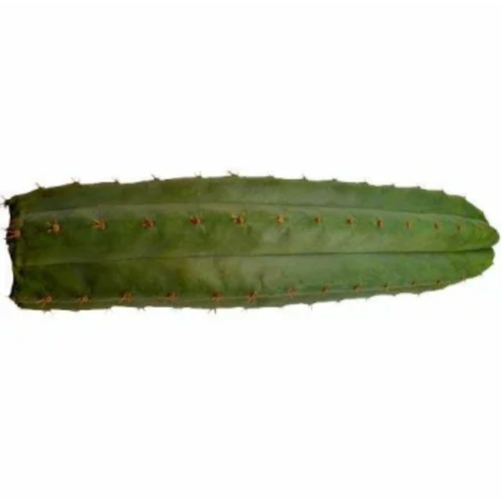 Microdose - 'San Pedro Cactus' Toolkit