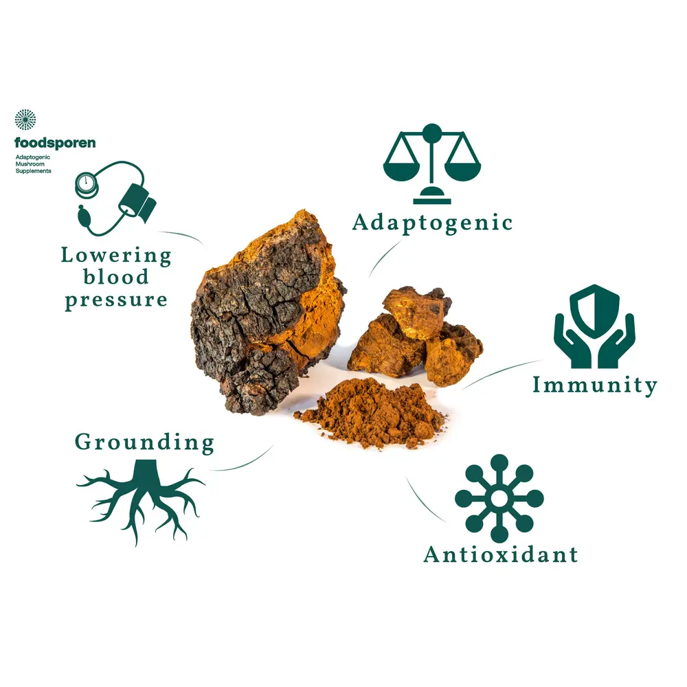 Microdose - Chaga Paddenstoelen Capsules