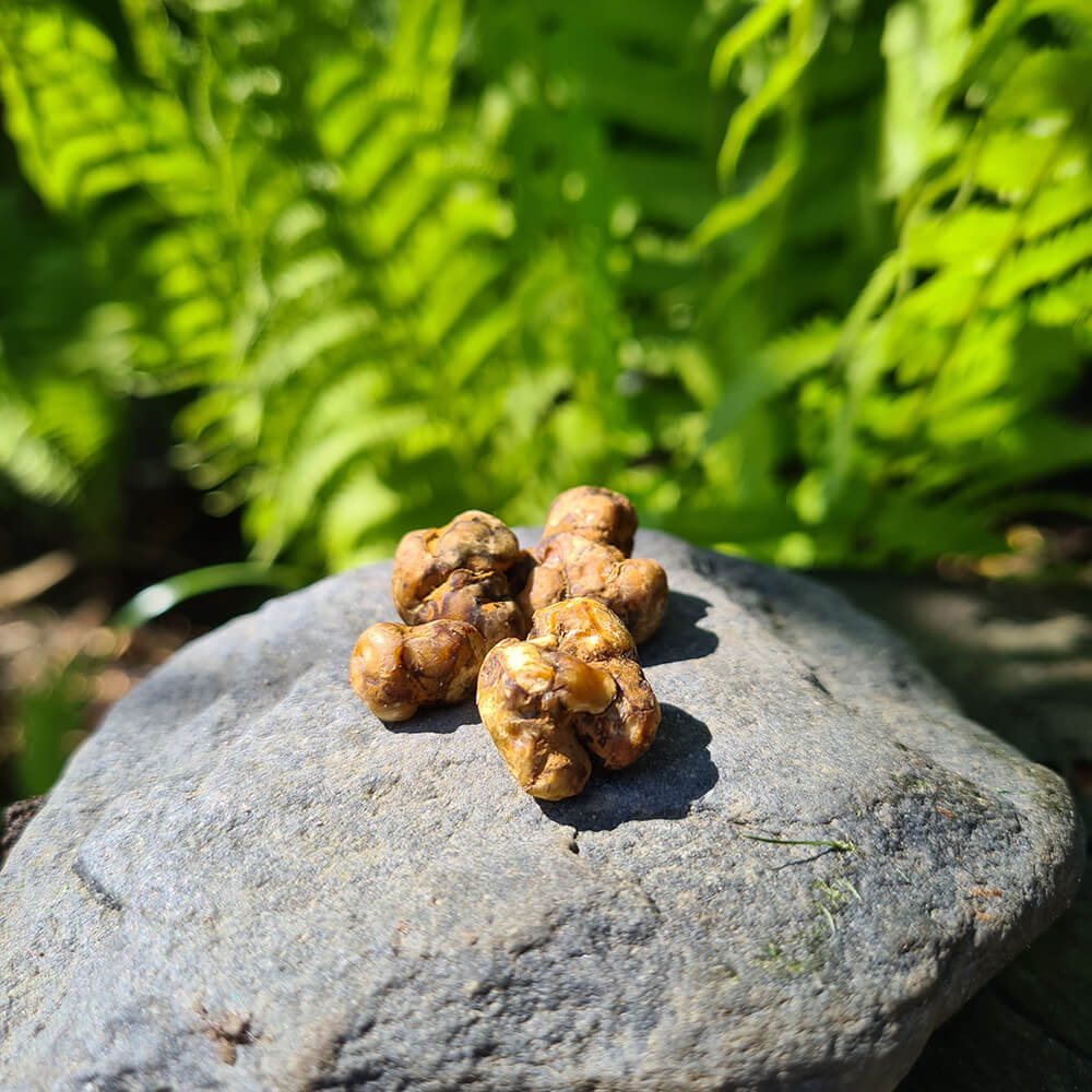 microdosing magic truffels