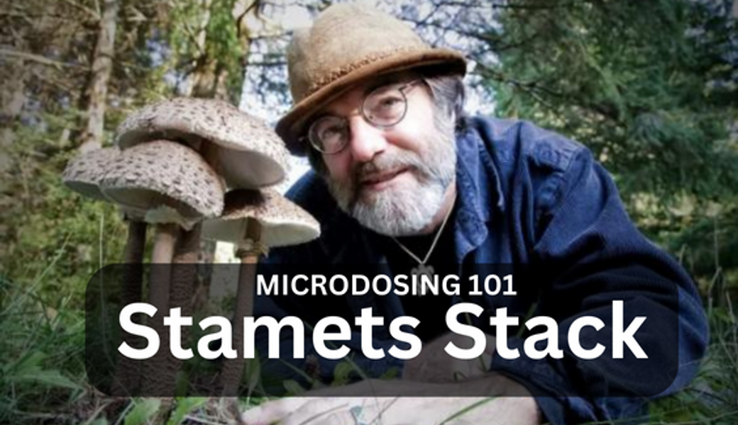 Paul Stamets' microdosing discovery: Stacking with Lion's Mane, niacin and truffles