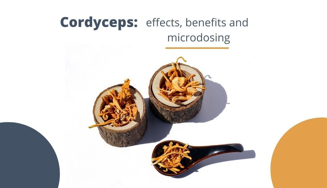 Cordyceps: what makes this mushroom so special?