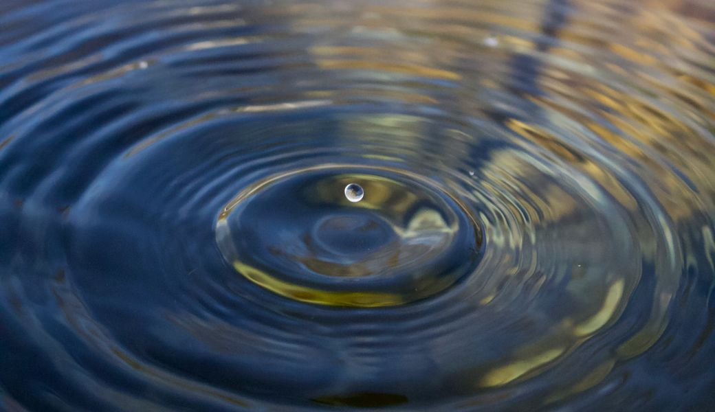 Shroom Drops and Microdosing