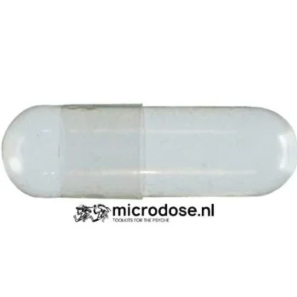 Microdose - Toolkit ‘Magic Mushrooms’ 