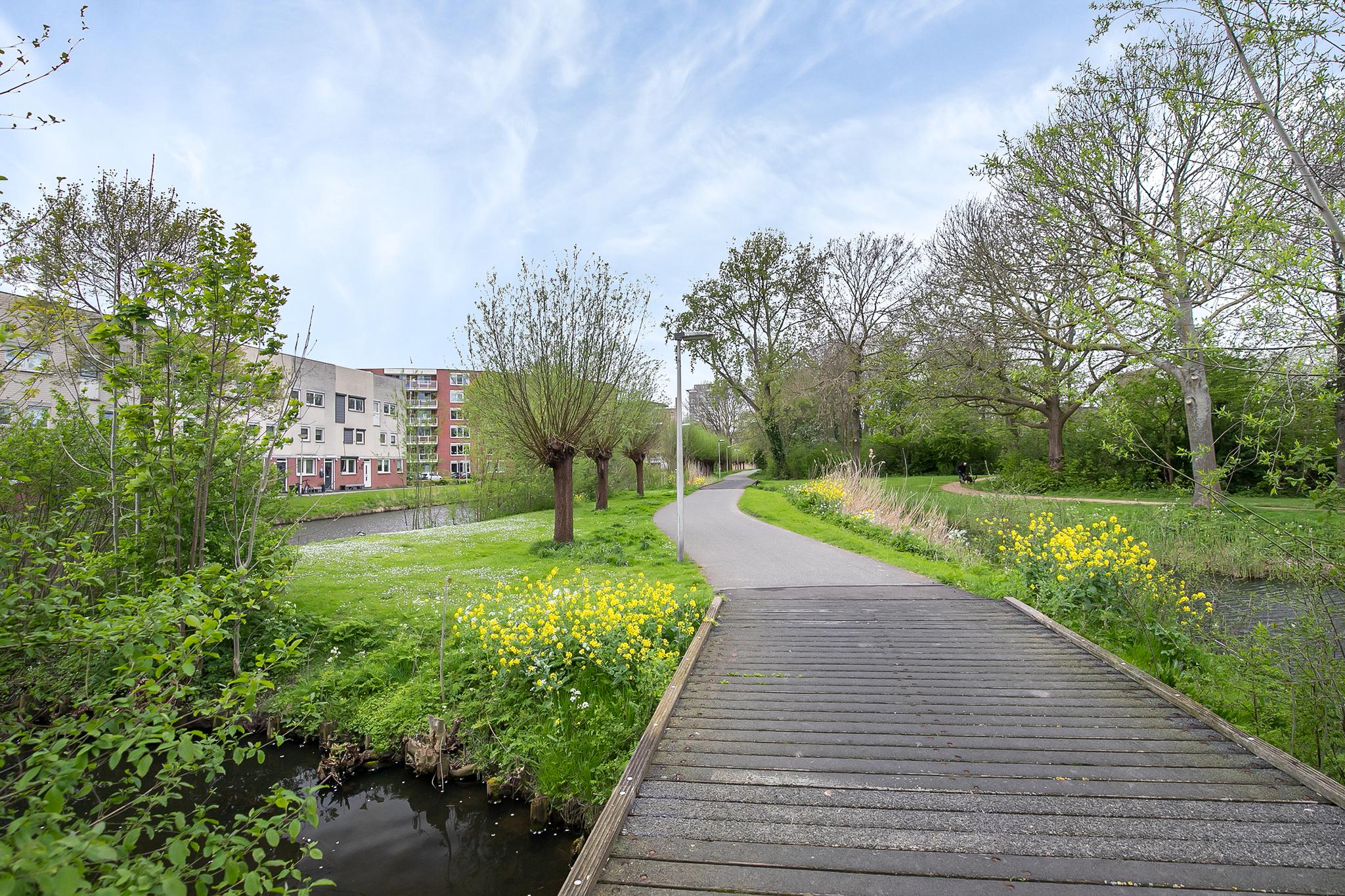 Plataanstraat 38, SPIJKENISSE foto 32