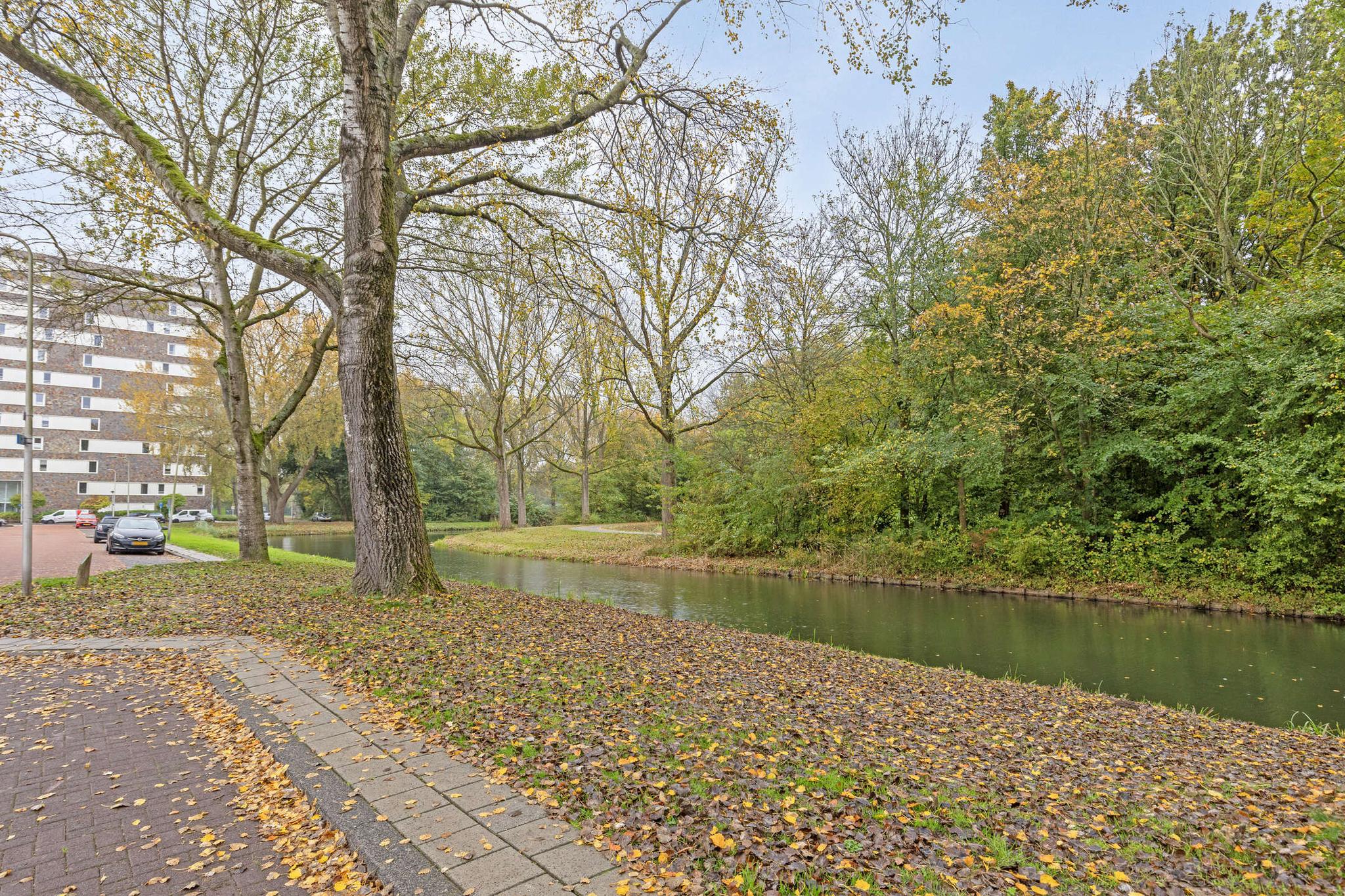 Leliestraat 18, SPIJKENISSE foto 32