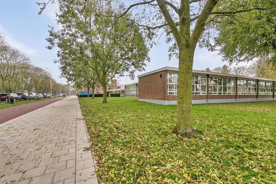 Jacob Catsstraat 60B, SPIJKENISSE foto 18