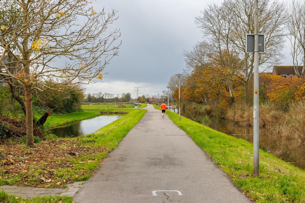 Duprepad 11, SPIJKENISSE foto 48