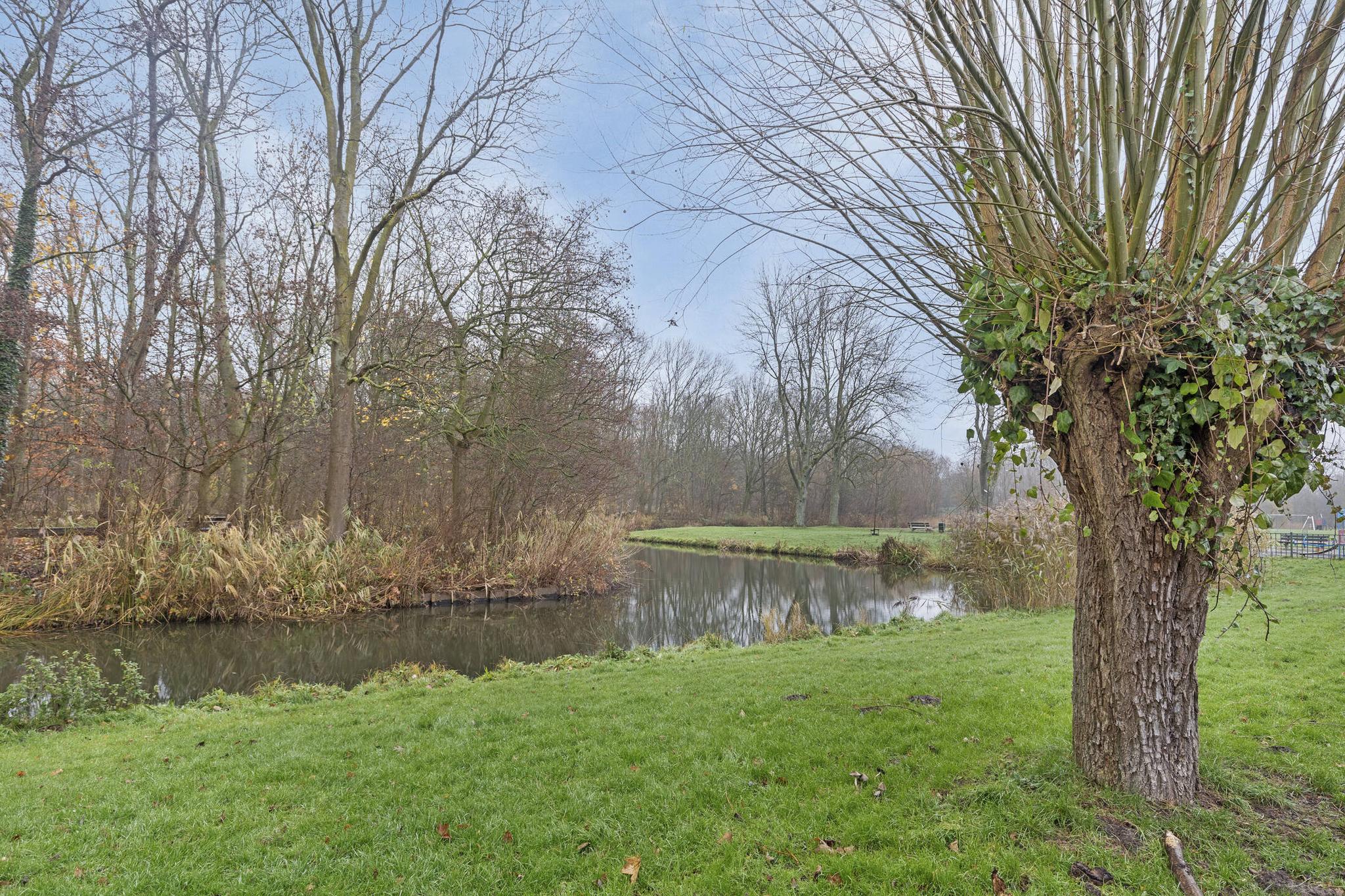 Jacob van Ruijsdaelpad 1, SPIJKENISSE foto 28