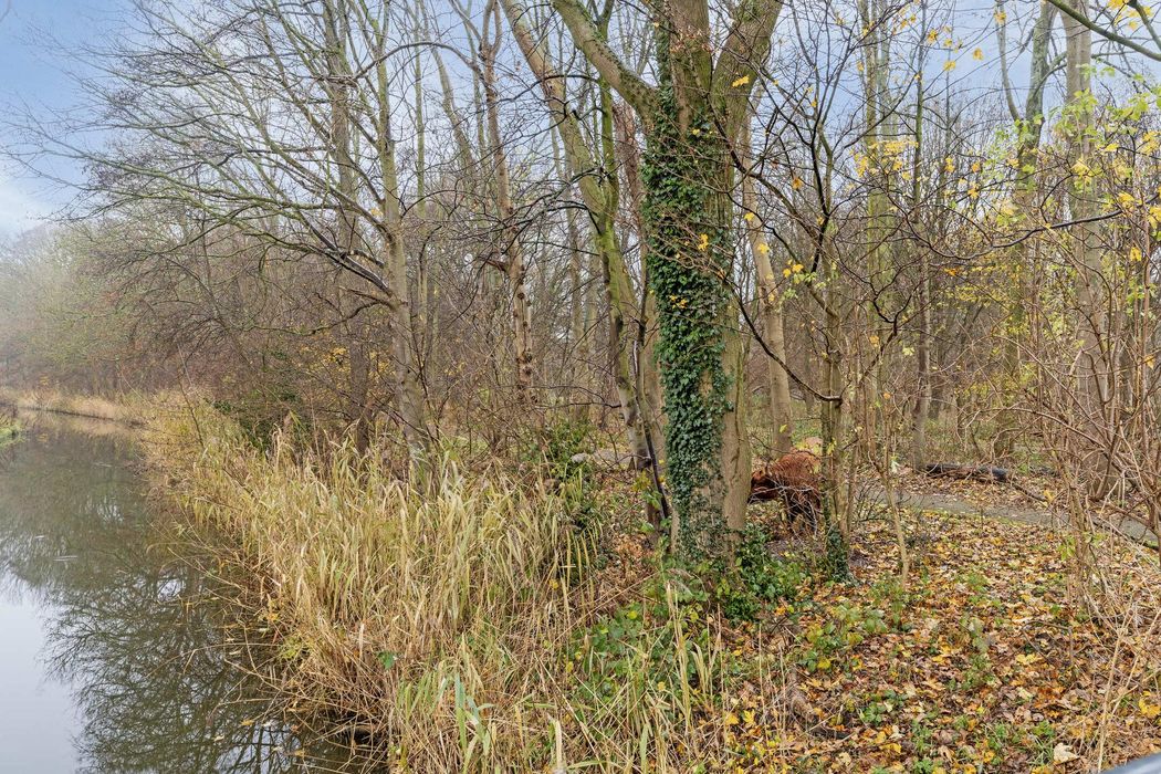 Jacob van Ruijsdaelpad 1, SPIJKENISSE foto 30