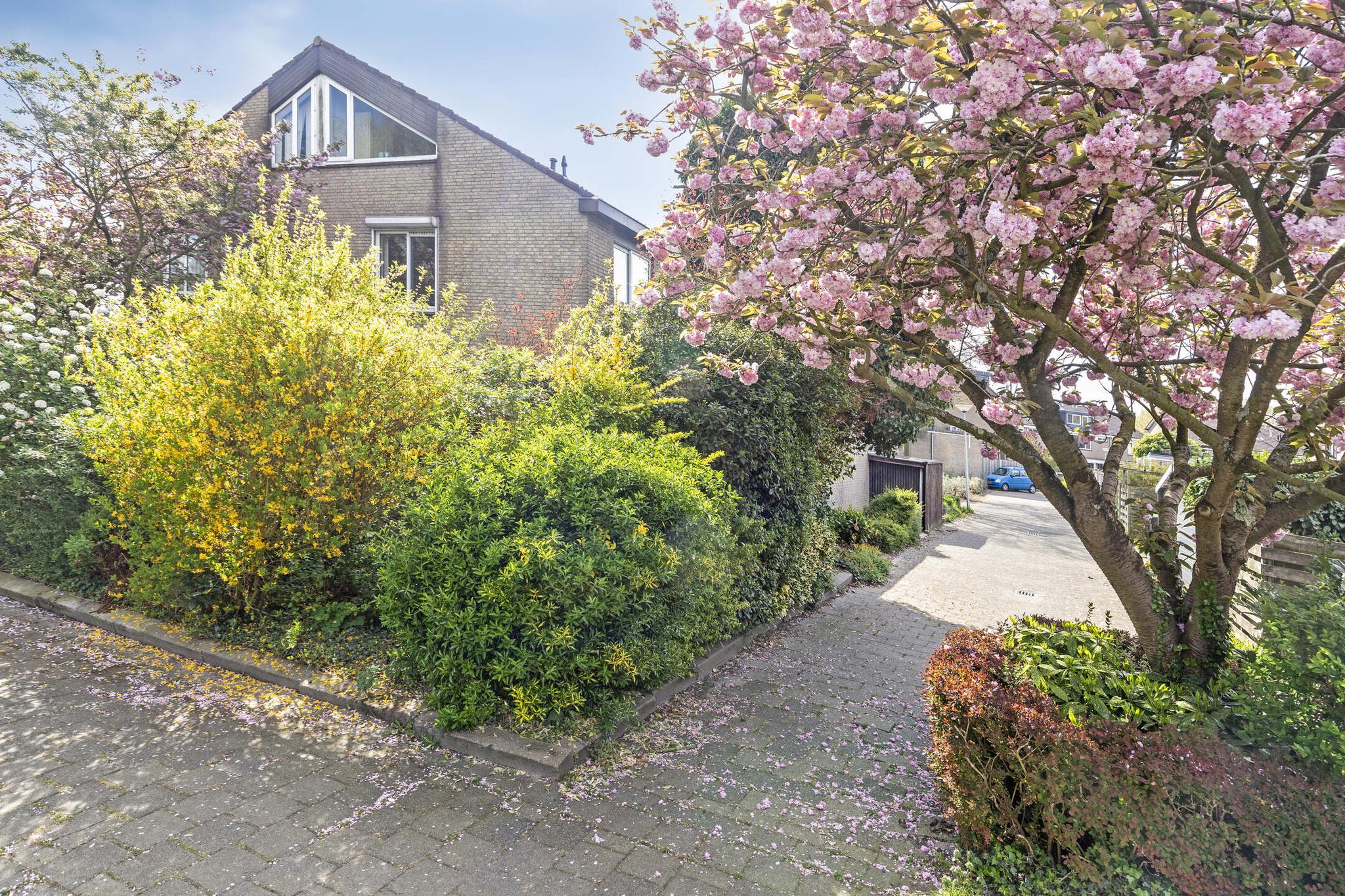 Salamanderveen 341, SPIJKENISSE foto 24